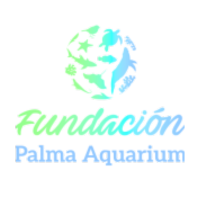 fundacion palma aquarium